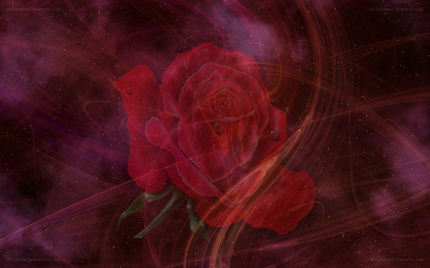 Red rose in cosmic space