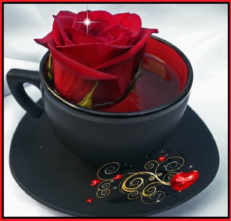 Red Rose in Cup — Black