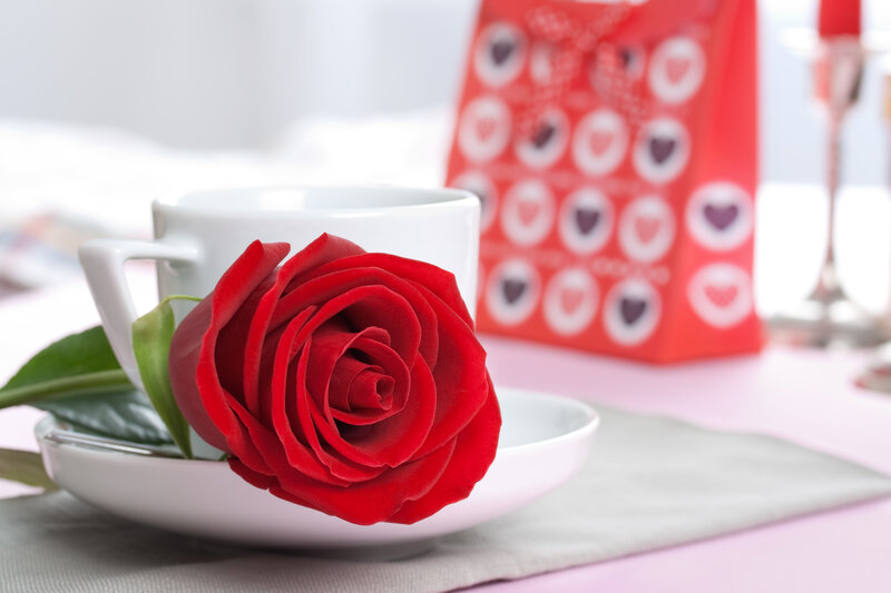 Red Rose in Cup — Romantic