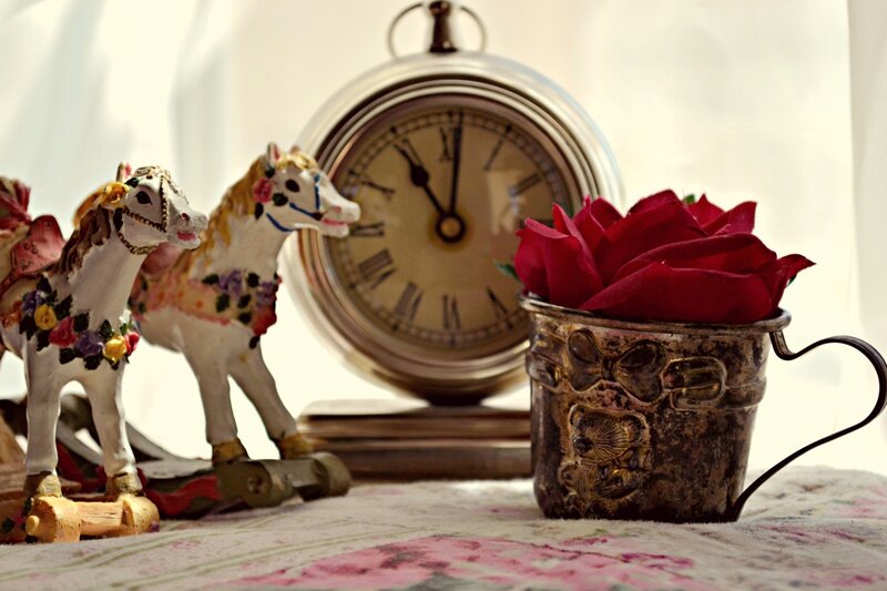 Red Rose in Cup — Serene