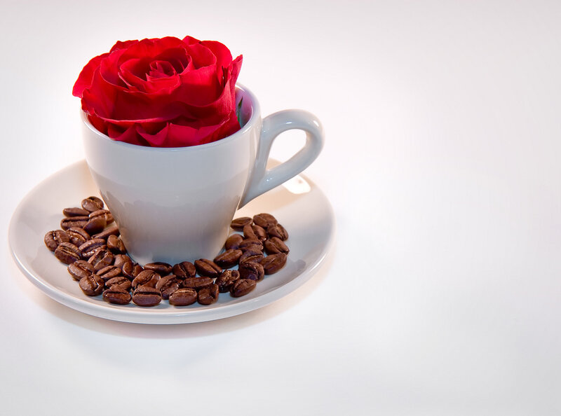 Red Rose in Cup