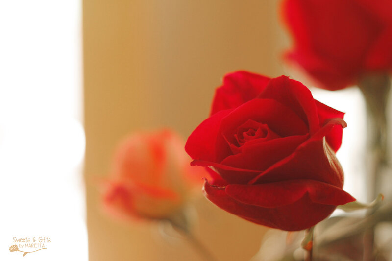 Red Rose in Focus — Calm, Photograph