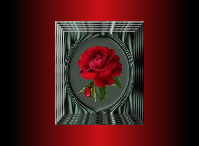 Red Rose in Frame — Dramatic
