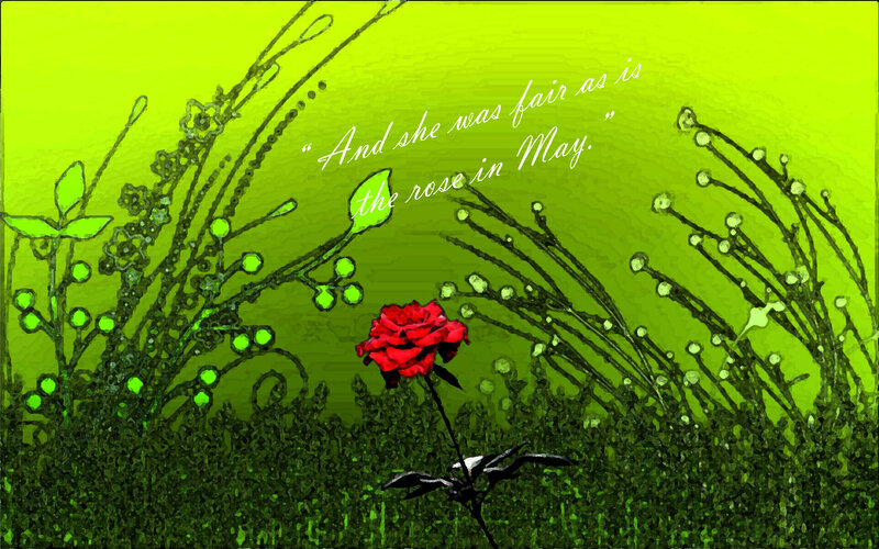 Red Rose in Garden — Green