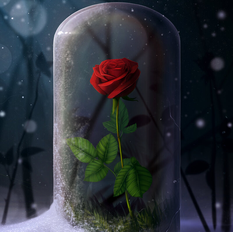 Red Rose in Glass Dome — Dramatic