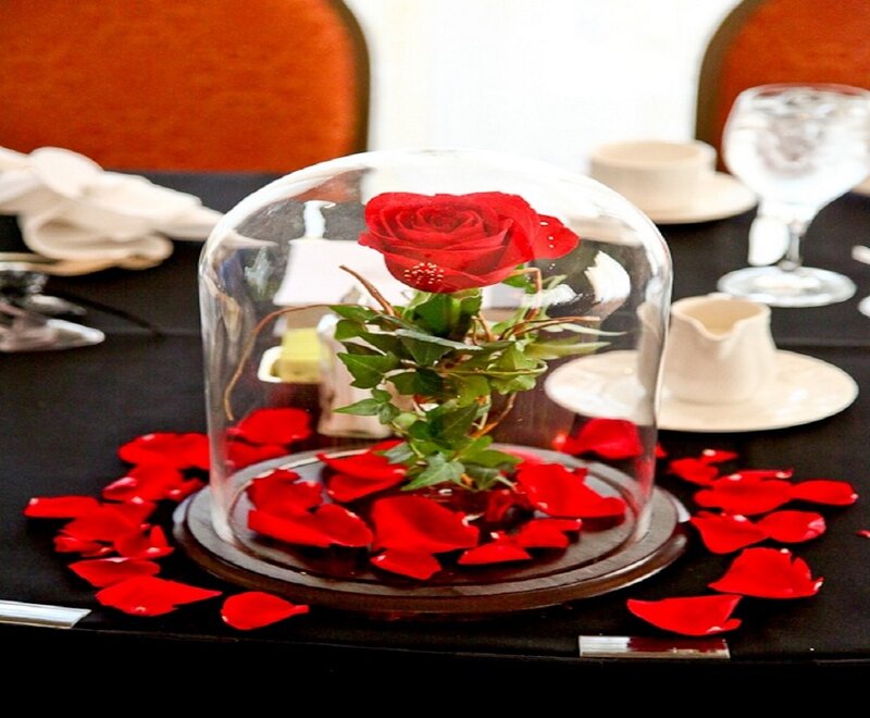 Red Rose in Glass Dome — Romantic
