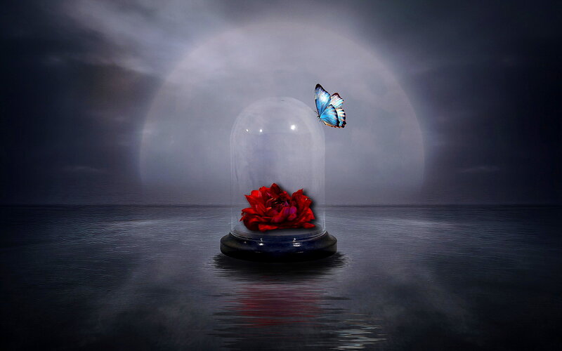 Red Rose in Glass Dome