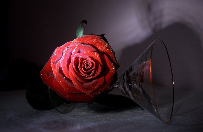 Red Rose in Glass — Dramatic, Photograph, Leaf