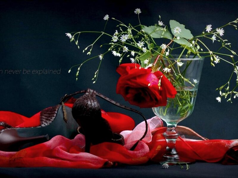Red Rose in Glass — Dramatic, Photograph, Shoes