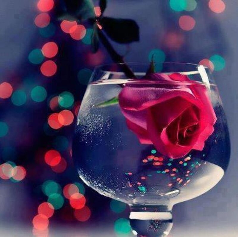 Red Rose in Glass — Purple