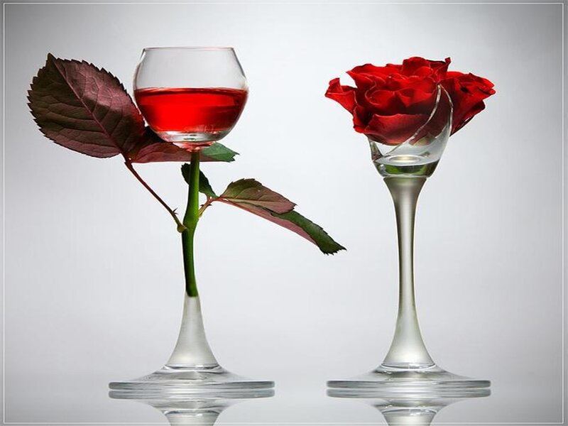 Red Rose in Glass — Serene