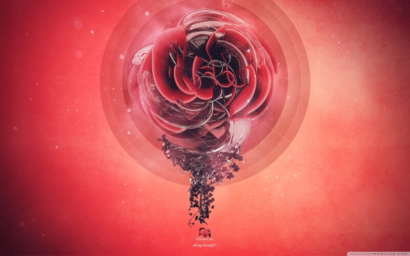 Red Rose in Glass Sphere — Dramatic