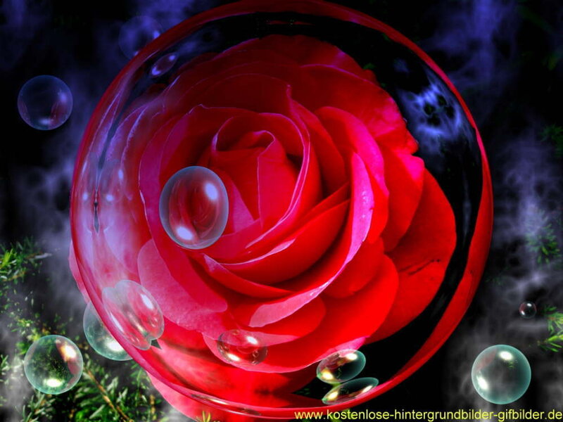 Red Rose in Glass Sphere — Mystical