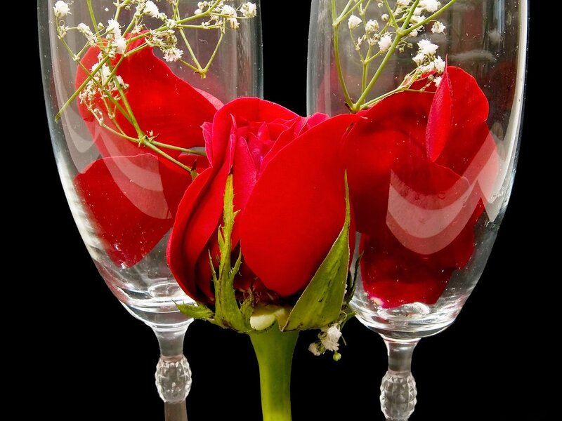 Red Rose in Glasses — Dramatic