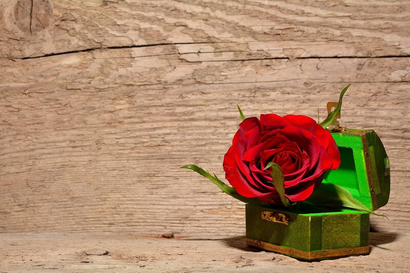 Red Rose in Green Box