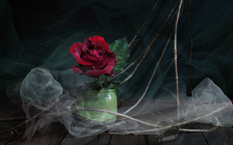 Red Rose in Green Vase