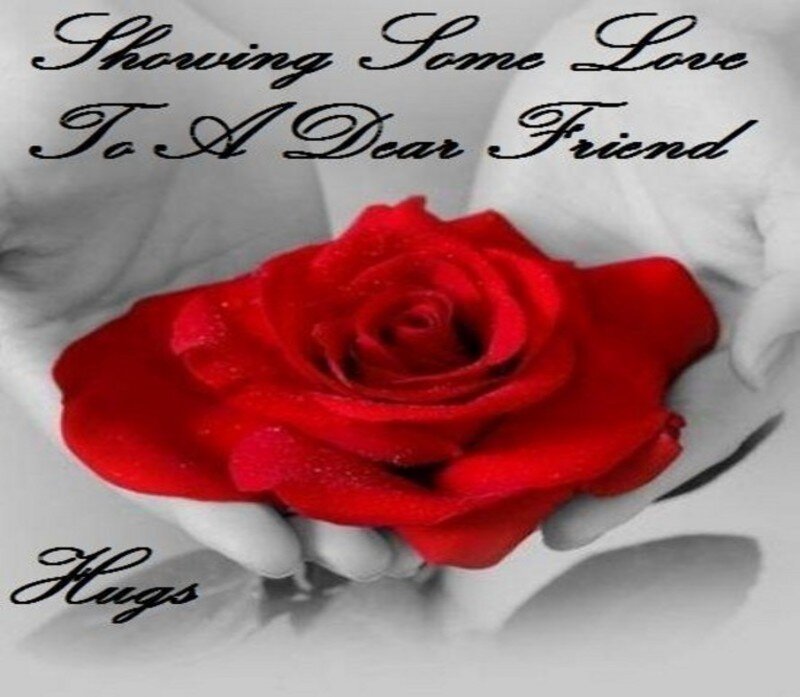 Red Rose in Hands — Sentimental