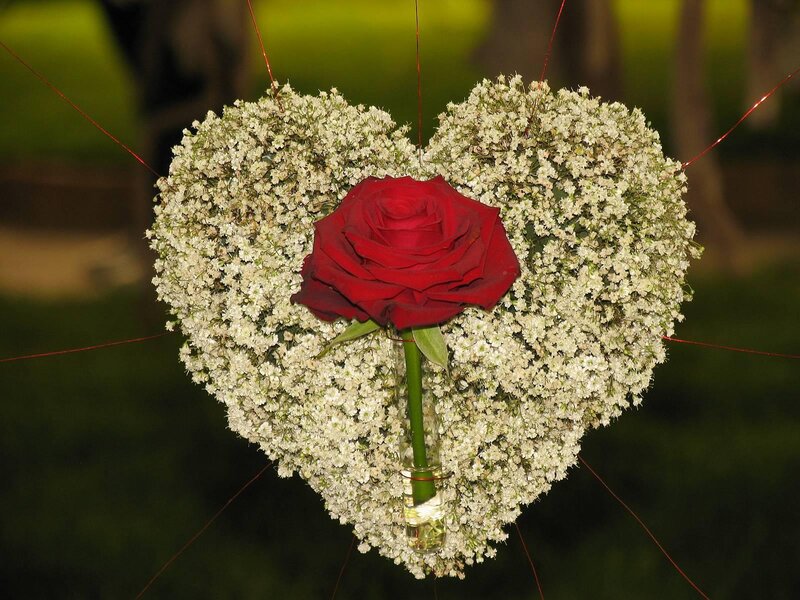 Red Rose in Heart Arrangement