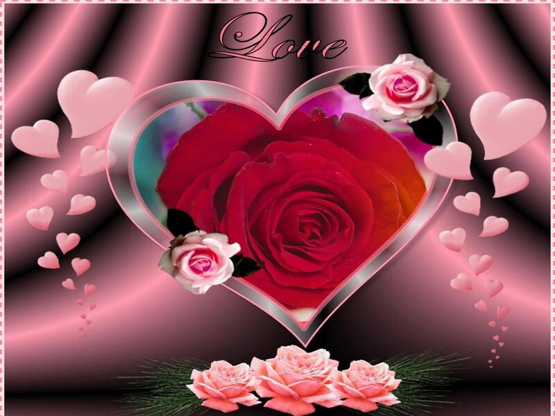 Red Rose in Heart Frame — Pink
