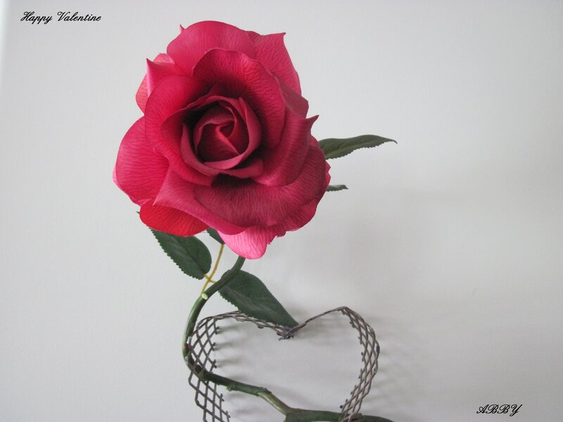 Red Rose in Heart Frame — Romantic, Photograph