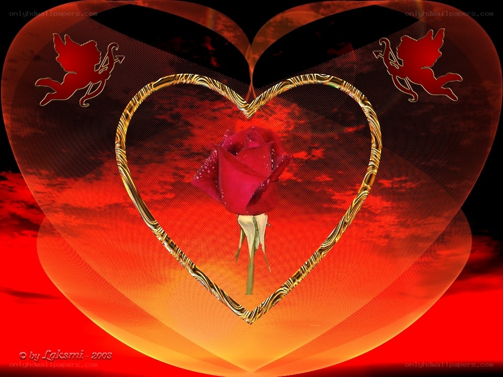 Red rose in heart frame