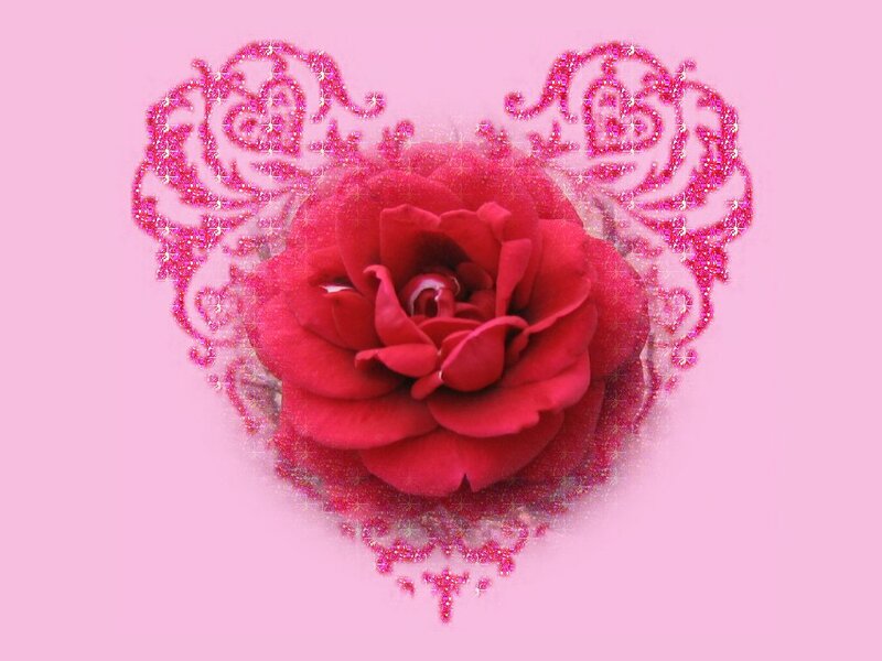 Red Rose in Heart — Pink, Romantic