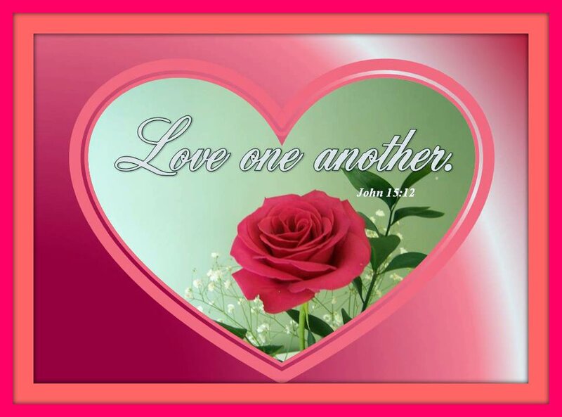 Red Rose in Heart — Pink