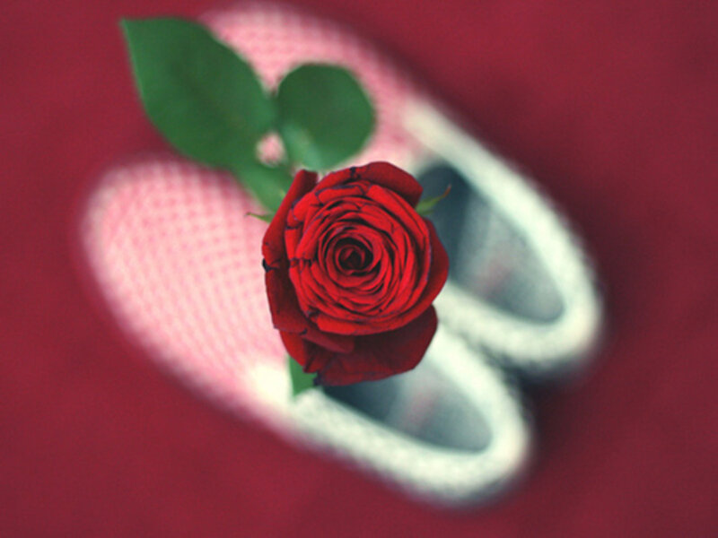 Red Rose in Heart — Romantic