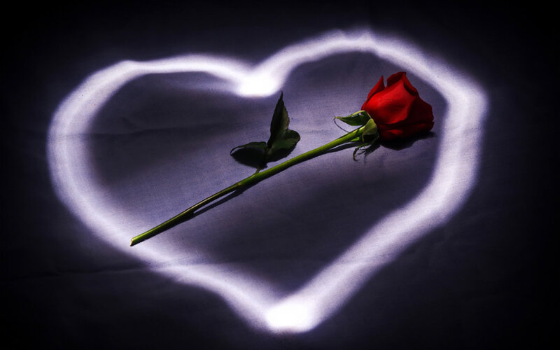 Red Rose in Heart Shape