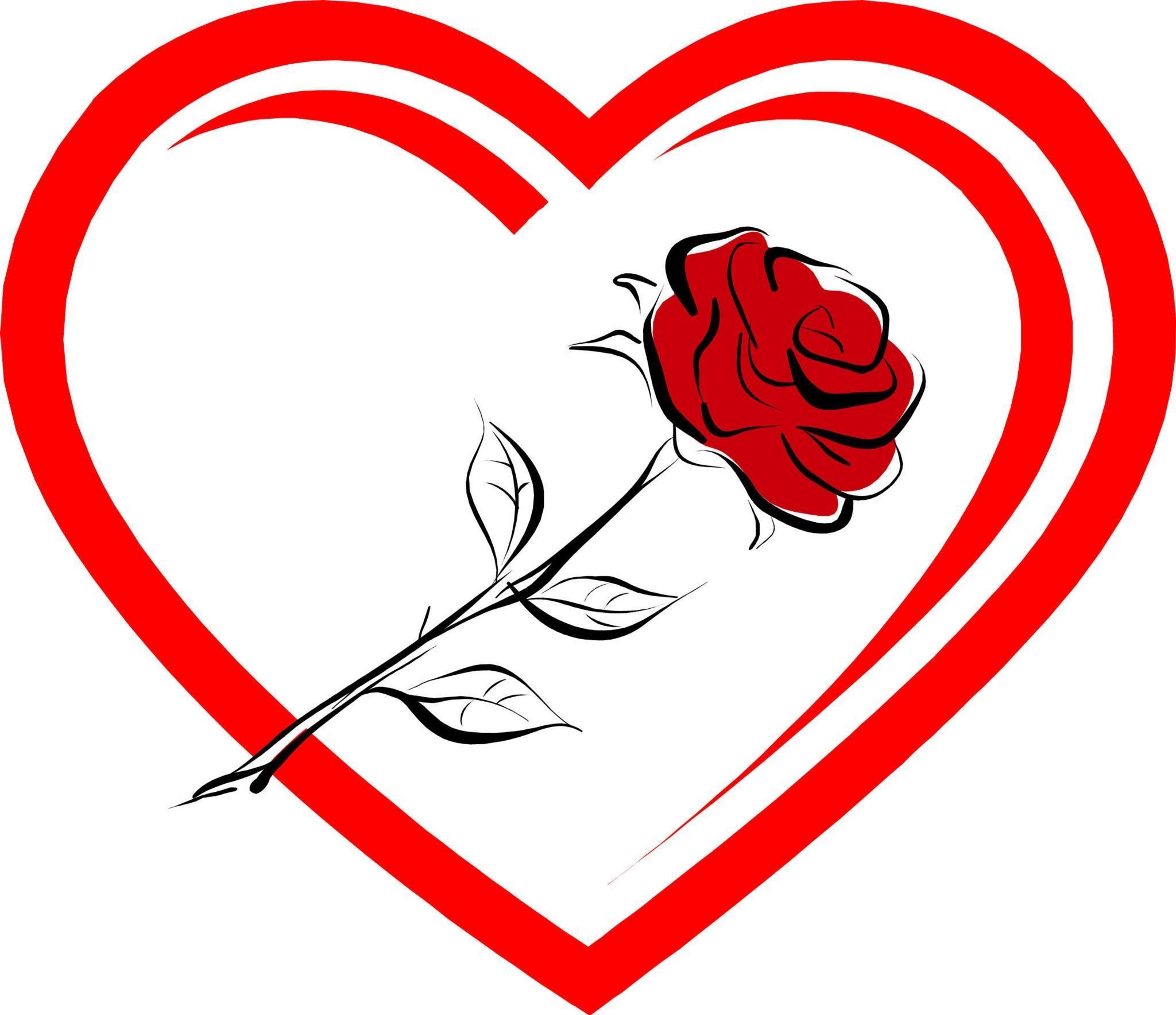 red rose in heart