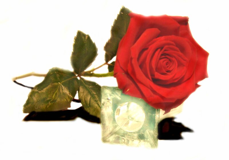 Red Rose in Ice — Calm