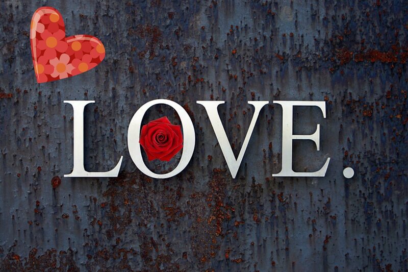Red Rose in Letter O