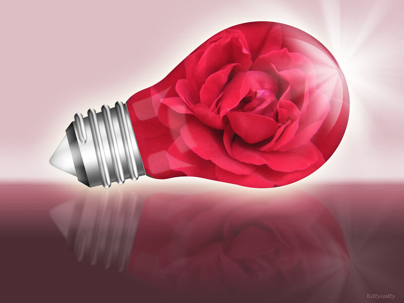 Red Rose in Light Bulb