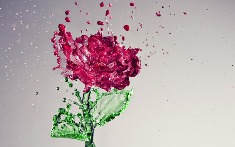 Red Rose in Liquid