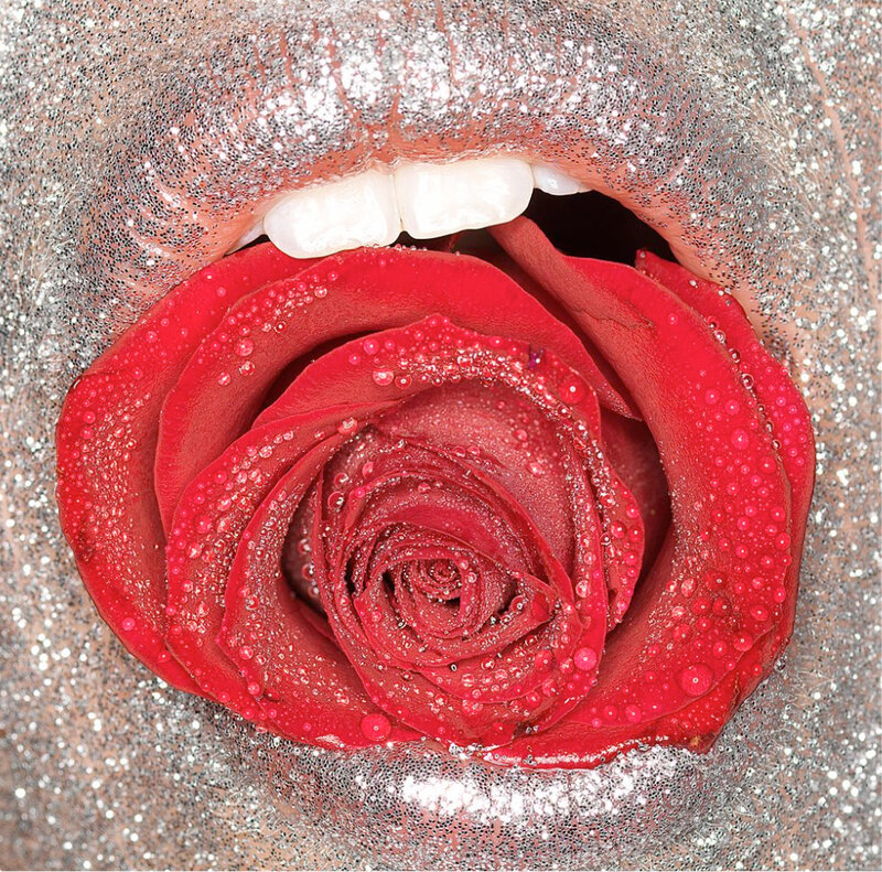 Red Rose in Mouth