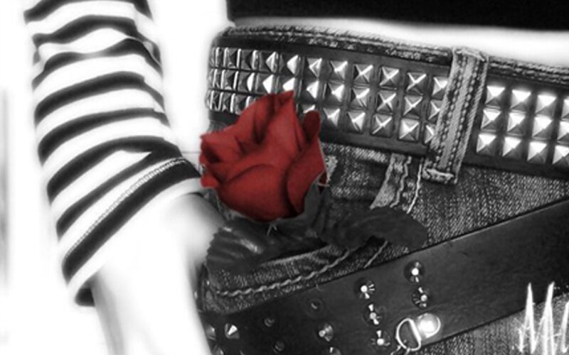Red Rose in Pocket — Black