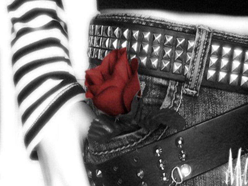 Red Rose in Pocket