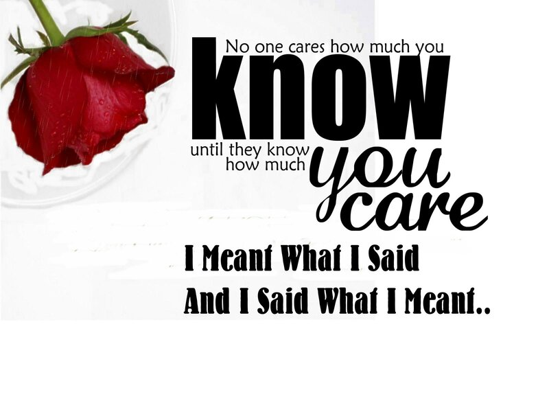 Red Rose in Rain — Melancholic