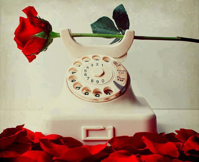 Red Rose in Rotary Phone