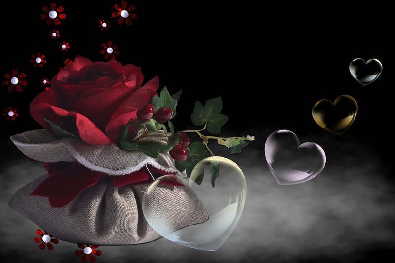 Red Rose in Sack