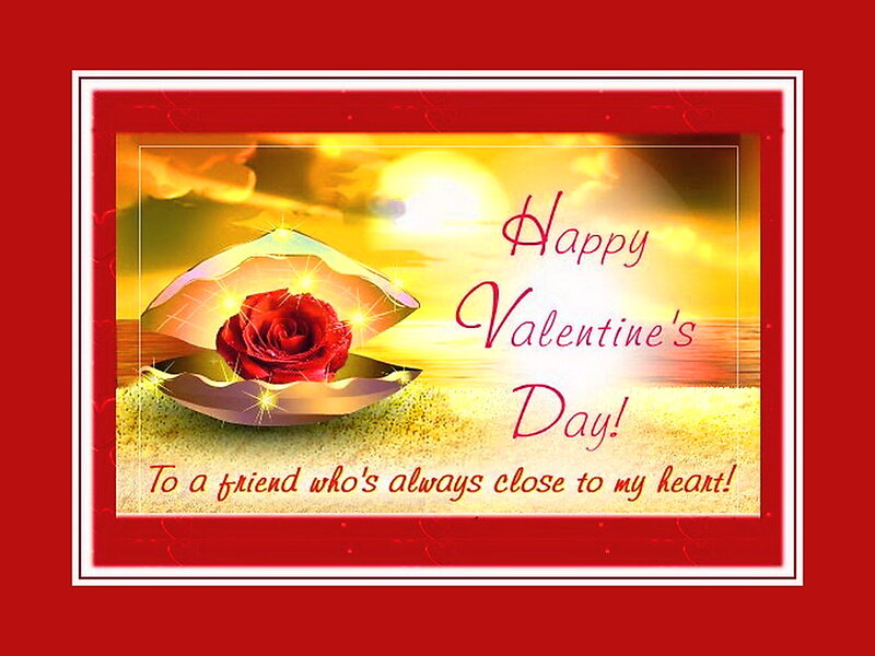 Red Rose in Shell