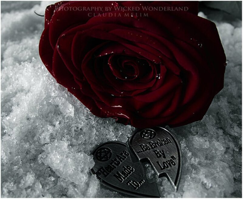 Red Rose in Snow — Dramatic, Winter, Photograph, Broken Heart