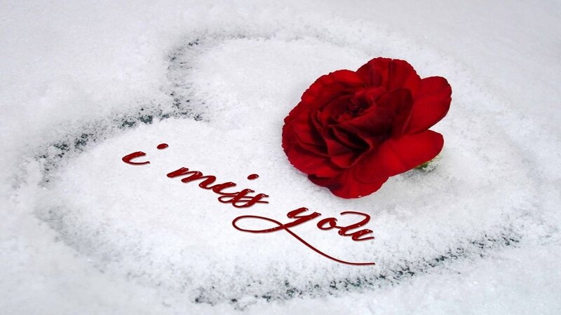 Red Rose in Snow — White, Melancholic