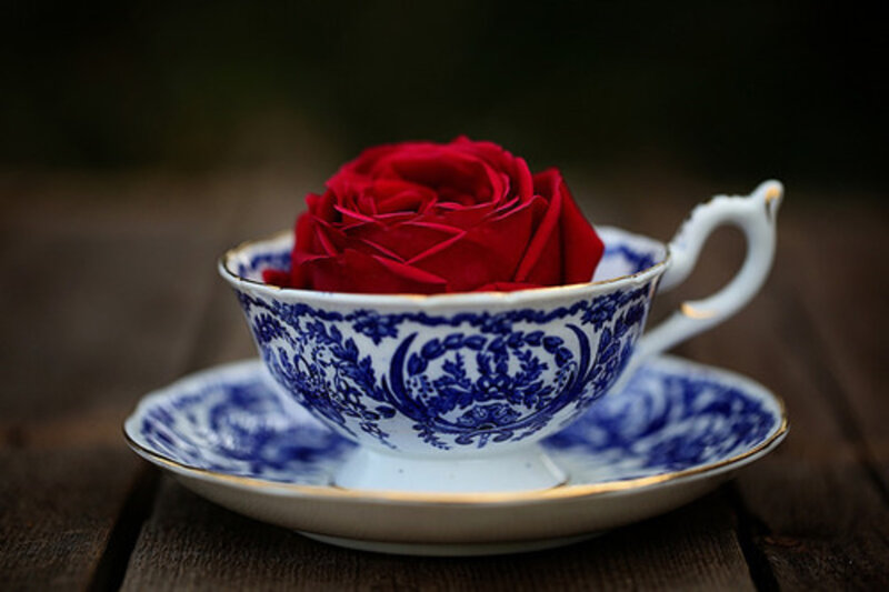 Red Rose in Teacup — Blue