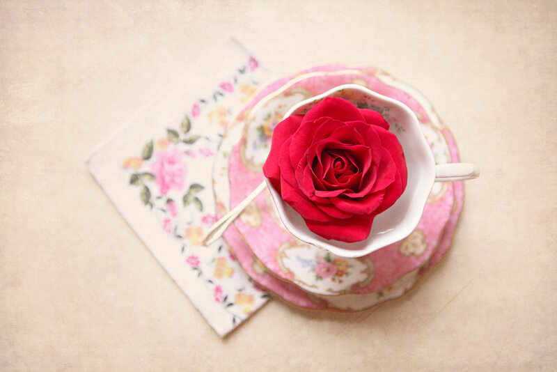 Red Rose in Teacup