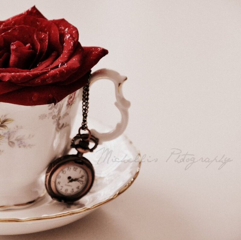 Red Rose in Teacup — White