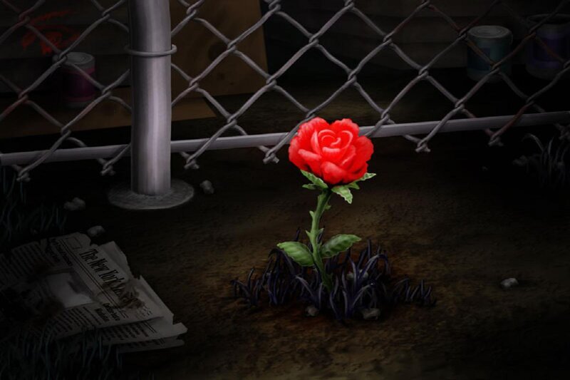 Red rose in urban alley