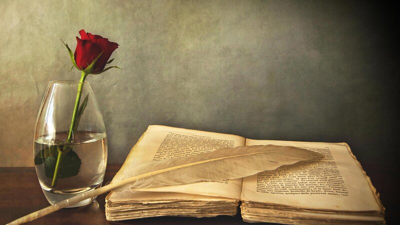 Red Rose in Vase — Brown, Serene