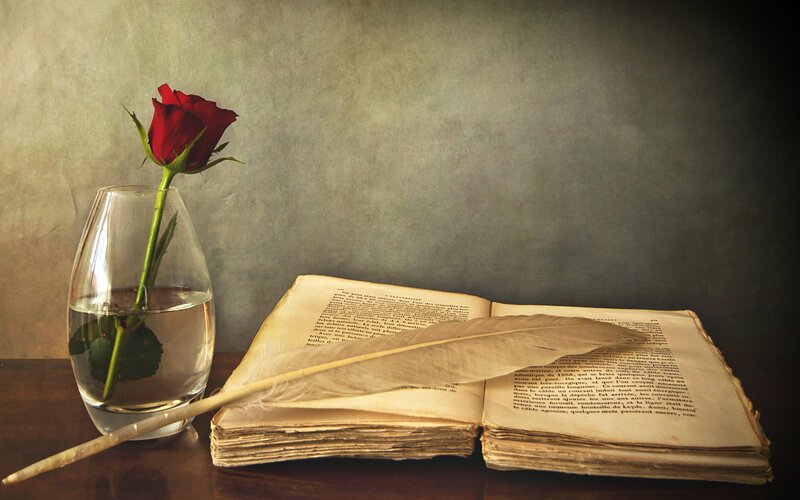 Red Rose in Vase — Brown