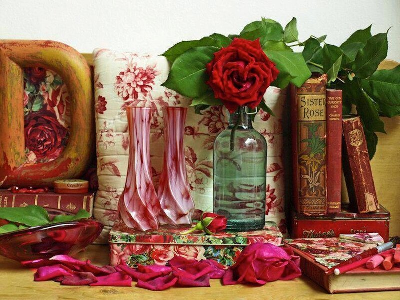 Red Rose in Vase — Calm, Photograph, Books